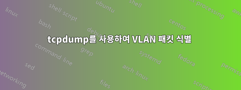 tcpdump를 사용하여 VLAN 패킷 식별