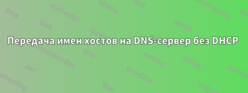 Передача имен хостов на DNS-сервер без DHCP