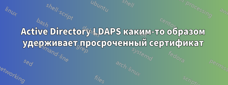 Active Directory LDAPS каким-то образом удерживает просроченный сертификат