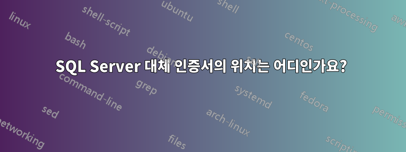 SQL Server 대체 인증서의 위치는 어디인가요?