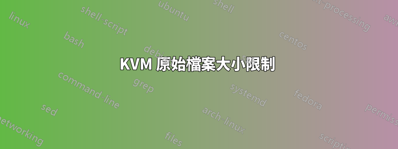 KVM 原始檔案大小限制