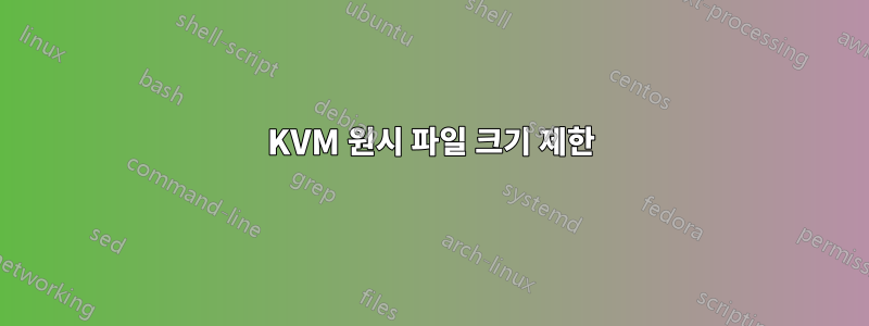 KVM 원시 파일 크기 제한