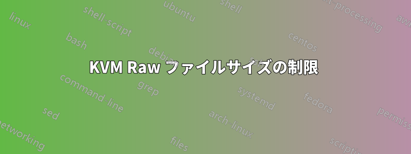 KVM Raw ファイルサイズの制限