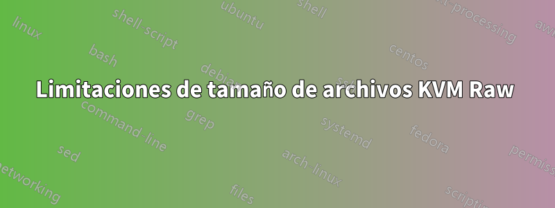 Limitaciones de tamaño de archivos KVM Raw