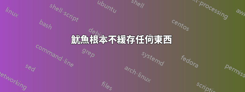 魷魚根本不緩存任何東西