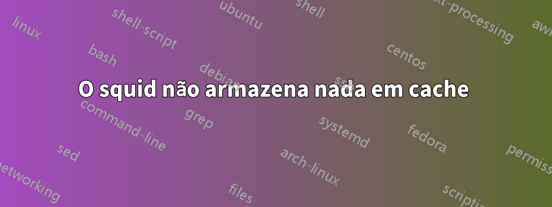 O squid não armazena nada em cache