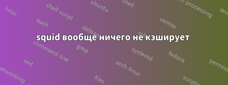 squid вообще ничего не кэширует