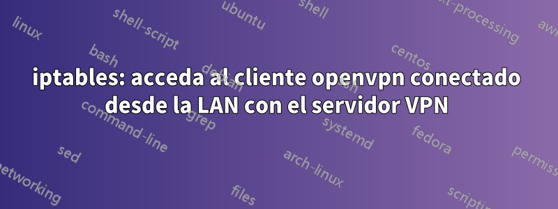 iptables: acceda al cliente openvpn conectado desde la LAN con el servidor VPN