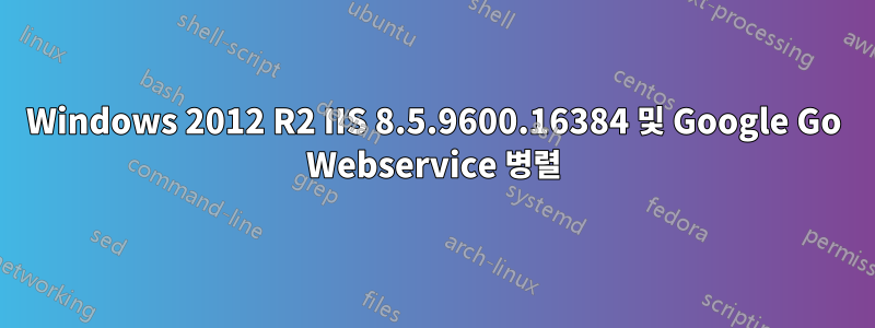 Windows 2012 R2 IIS 8.5.9600.16384 및 Google Go Webservice 병렬