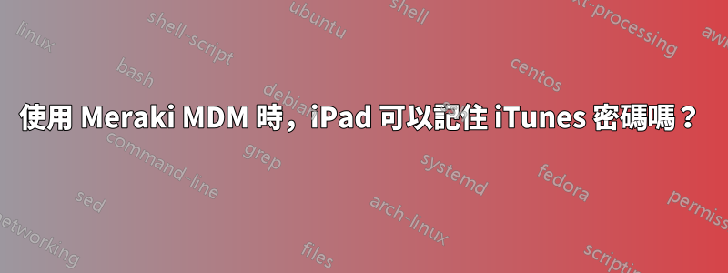 使用 Meraki MDM 時，iPad 可以記住 iTunes 密碼嗎？