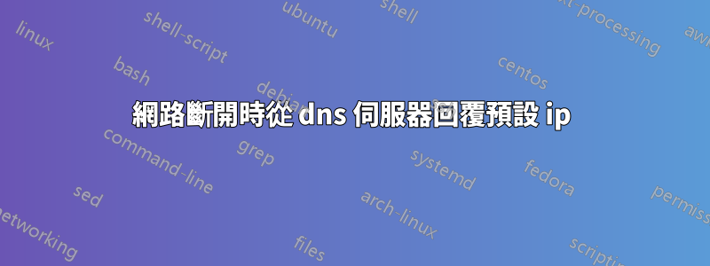 網路斷開時從 dns 伺服器回覆預設 ip