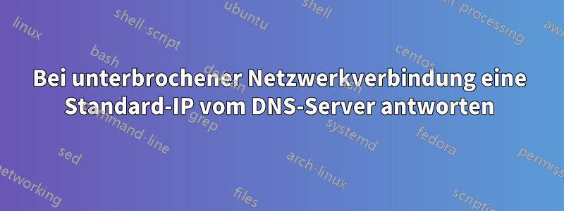 Bei unterbrochener Netzwerkverbindung eine Standard-IP vom DNS-Server antworten