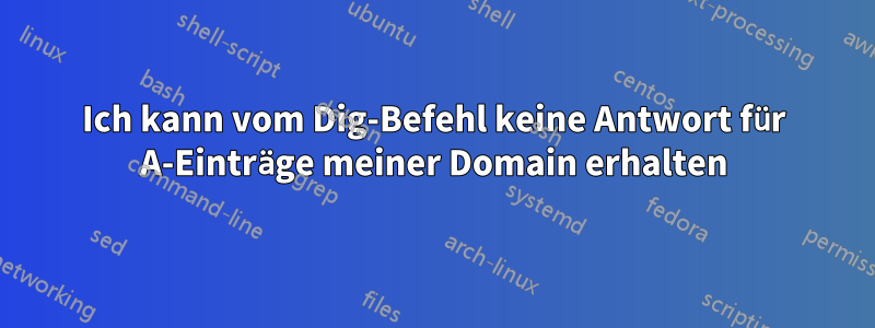 Ich kann vom Dig-Befehl keine Antwort für A-Einträge meiner Domain erhalten