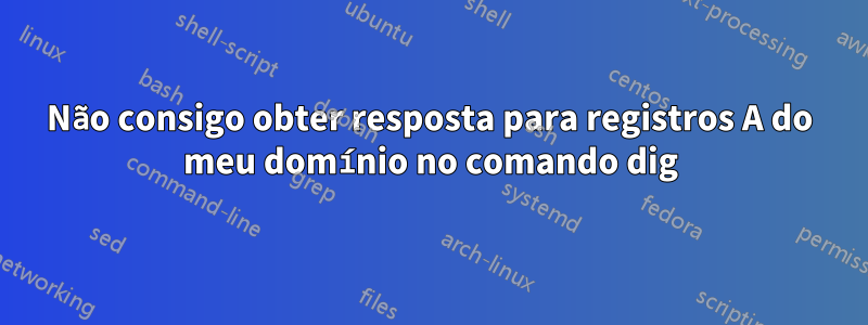 Não consigo obter resposta para registros A do meu domínio no comando dig