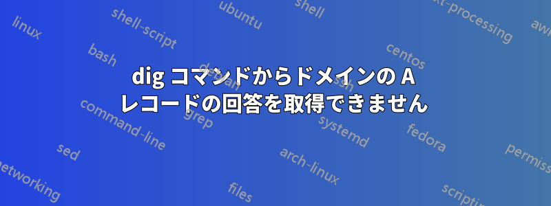 dig コマンドからドメインの A レコードの回答を取得できません