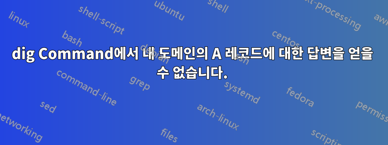 dig Command에서 내 도메인의 A 레코드에 대한 답변을 얻을 수 없습니다.