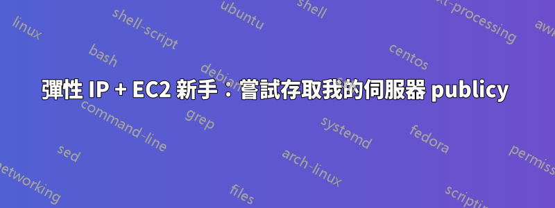 彈性 IP + EC2 新手：嘗試存取我的伺服器 publicy