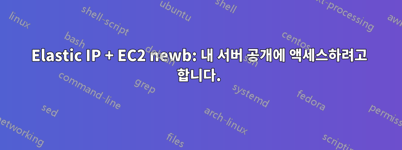 Elastic IP + EC2 newb: 내 서버 공개에 액세스하려고 합니다.