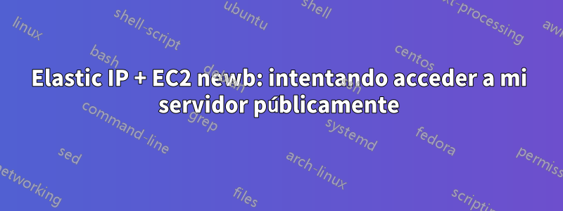 Elastic IP + EC2 newb: intentando acceder a mi servidor públicamente