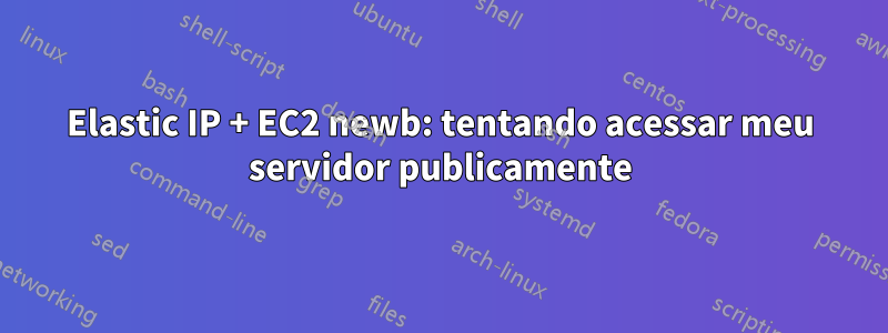 Elastic IP + EC2 newb: tentando acessar meu servidor publicamente