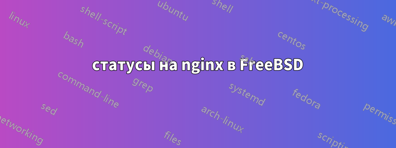 403 статусы на nginx в FreeBSD