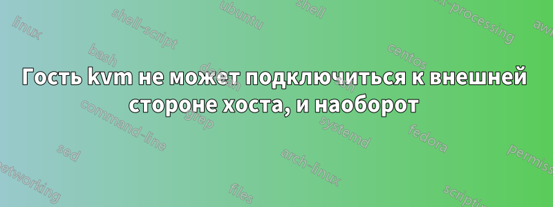 Гость kvm не может подключиться к внешней стороне хоста, и наоборот