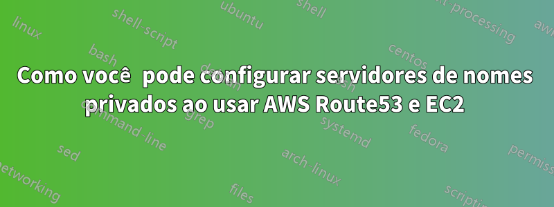 Como você pode configurar servidores de nomes privados ao usar AWS Route53 e EC2