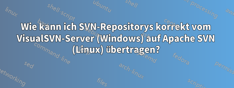 Wie kann ich SVN-Repositorys korrekt vom VisualSVN-Server (Windows) auf Apache SVN (Linux) übertragen?