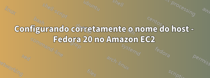 Configurando corretamente o nome do host - Fedora 20 no Amazon EC2