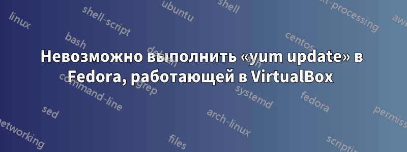 Невозможно выполнить «yum update» в Fedora, работающей в VirtualBox 