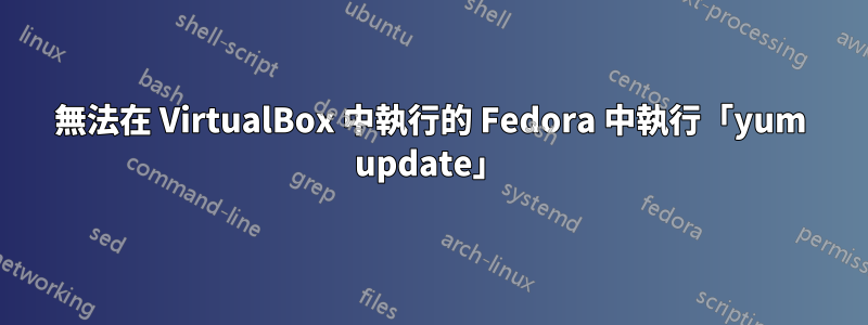 無法在 VirtualBox 中執行的 Fedora 中執行「yum update」