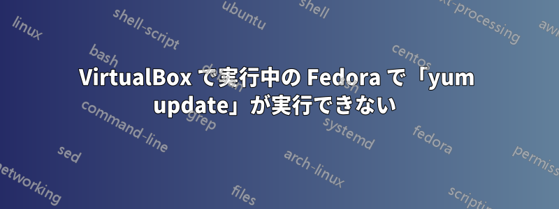 VirtualBox で実行中の Fedora で「yum update」が実行できない 