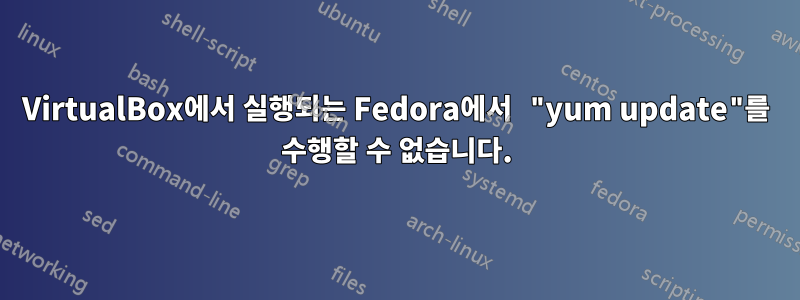 VirtualBox에서 실행되는 Fedora에서 "yum update"를 수행할 수 없습니다.