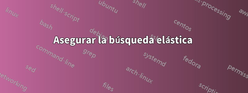 Asegurar la búsqueda elástica