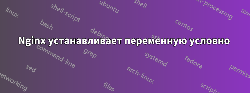 Nginx устанавливает переменную условно