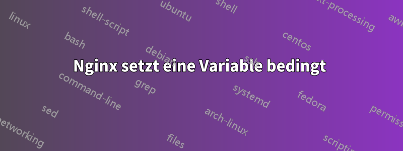 Nginx setzt eine Variable bedingt