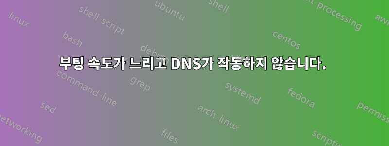 부팅 속도가 느리고 DNS가 작동하지 않습니다.