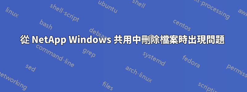 從 NetApp Windows 共用中刪除檔案時出現問題