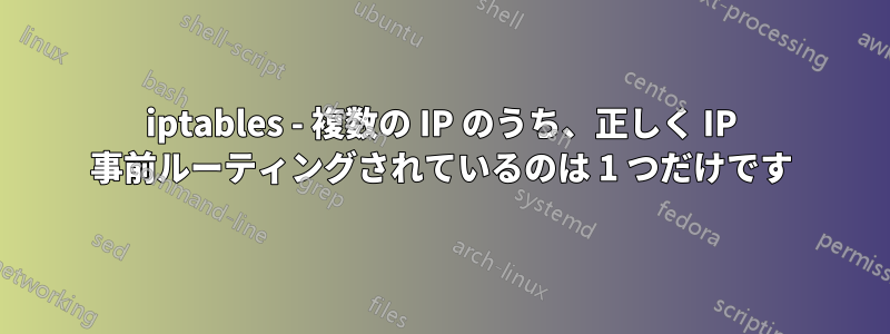 iptables - 複数の IP のうち、正しく IP 事前ルーティングされているのは 1 つだけです