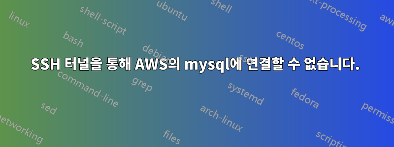 SSH 터널을 통해 AWS의 mysql에 연결할 수 없습니다.