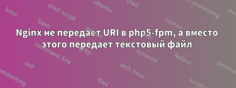 Nginx не передает URI в php5-fpm, а вместо этого передает текстовый файл