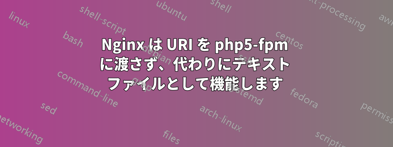 Nginx は URI を php5-fpm に渡さず、代わりにテキスト ファイルとして機能します