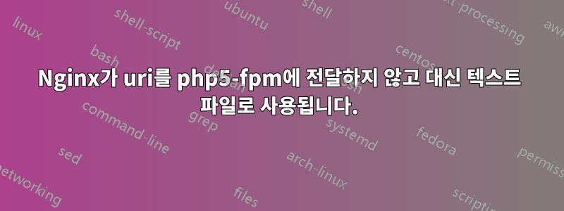 Nginx가 uri를 php5-fpm에 전달하지 않고 대신 텍스트 파일로 사용됩니다.