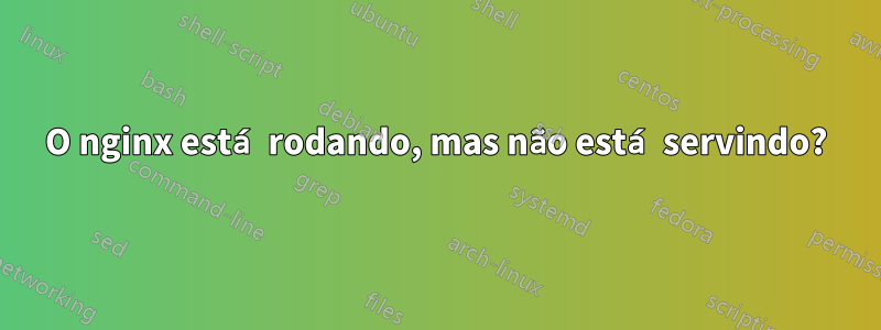 O nginx está rodando, mas não está servindo?