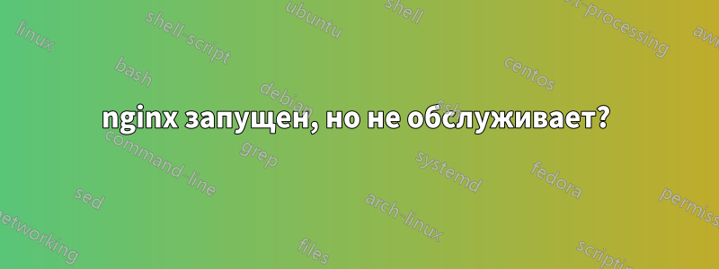 nginx запущен, но не обслуживает?