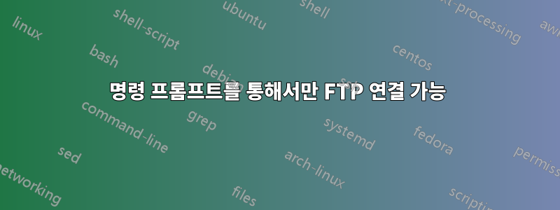 명령 프롬프트를 통해서만 FTP 연결 가능