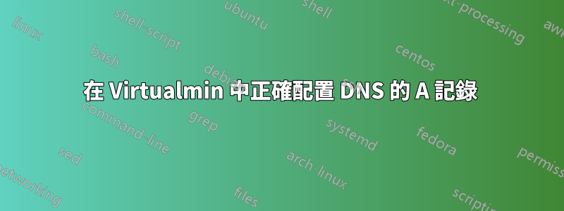 在 Virtualmin 中正確配置 DNS 的 A 記錄