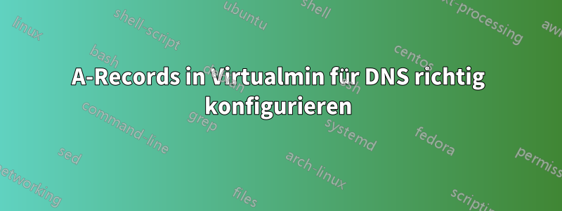 A-Records in Virtualmin für DNS richtig konfigurieren