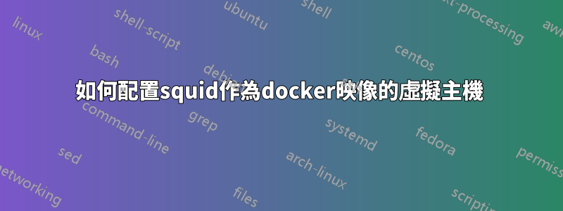 如何配置squid作為docker映像的虛擬主機