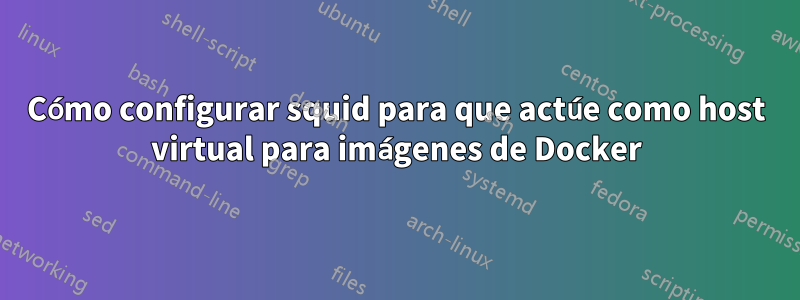 Cómo configurar squid para que actúe como host virtual para imágenes de Docker